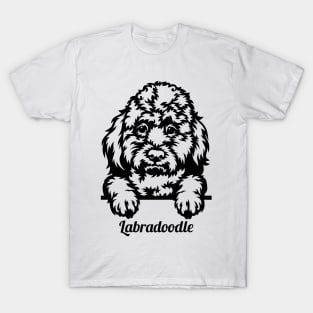 Cute Labradoodle Illustration T-Shirt